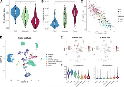 Integrated analysis of bulk and single-cell RNA-seq reveals the role of MYC signaling in lung adenocarcinoma